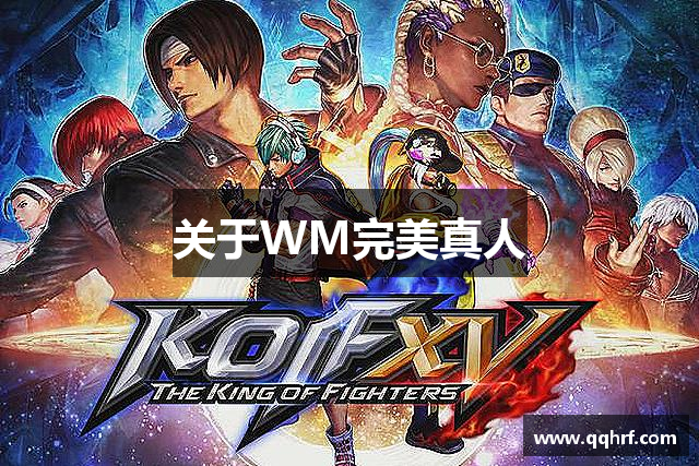 关于WM完美真人